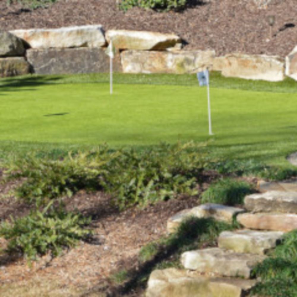 Top Trends For Metro New York Backyard Golf Putting Greens